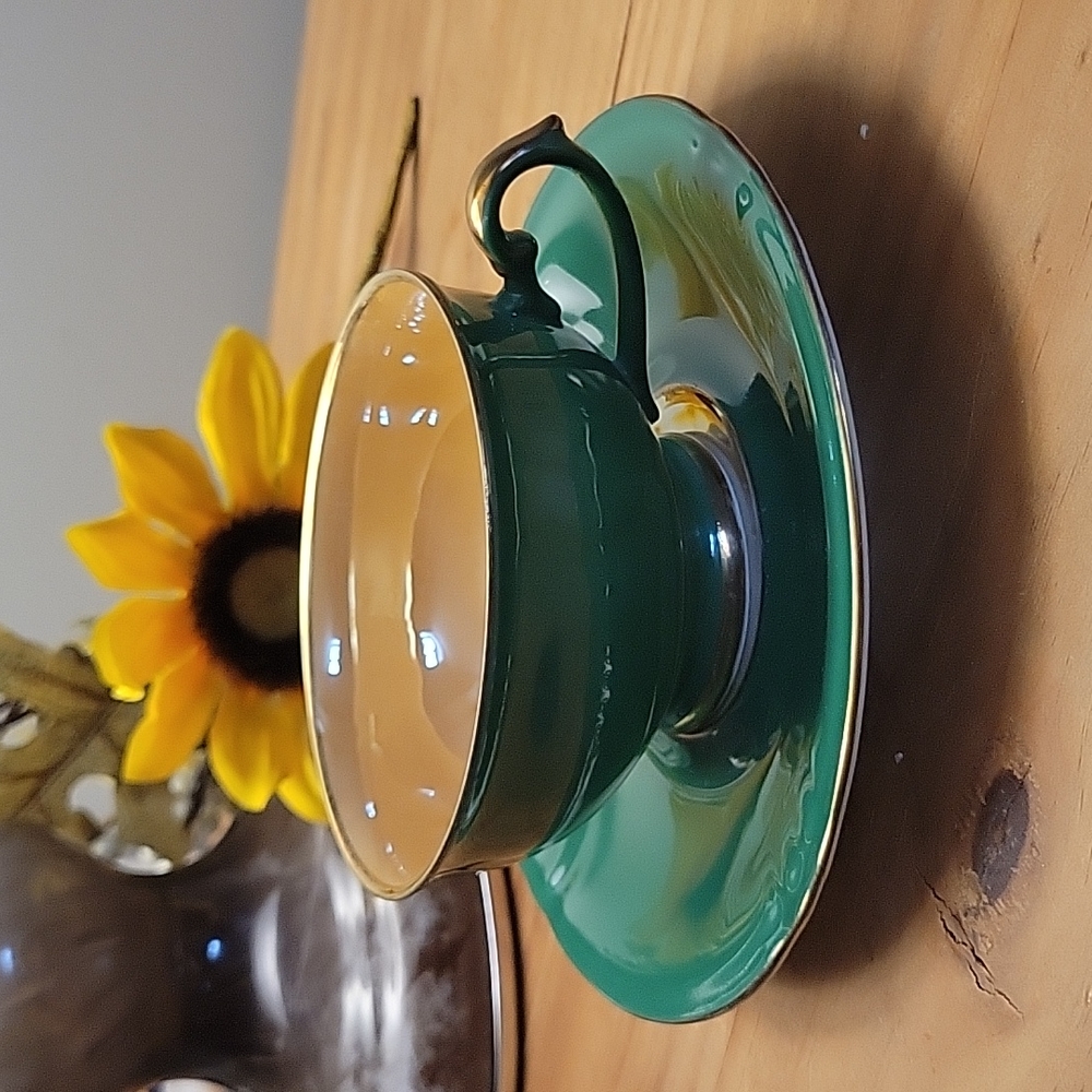 Winterling Bavaria Tea Cup/ Saucer set